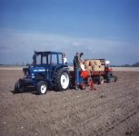 geschiedenis/werkzaamheid -> Aardappelen poten